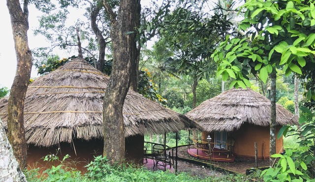 Punarjani Ayurvedic Resorts