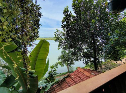 PVA Ayurveda Stay