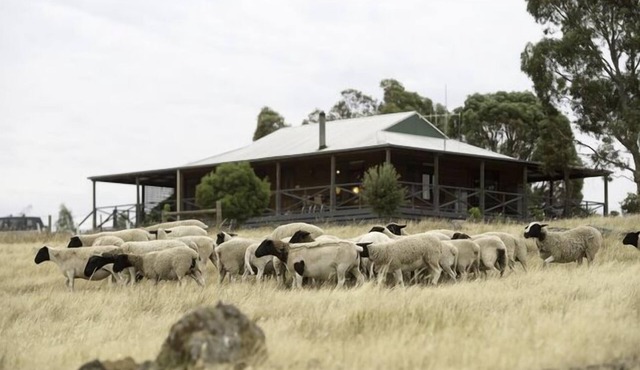 Quaint Cottage on Country Victorian Farm, Overlooking Beautiful Vineyard in Axedale