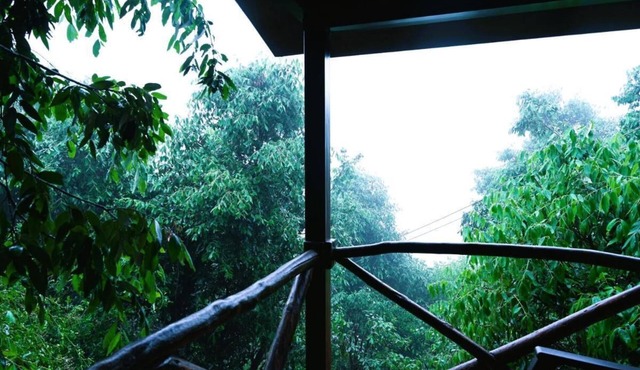 Quiet Place Himalayas