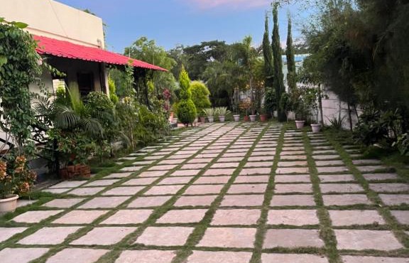 Rènao farms