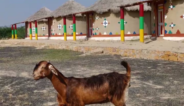 Rann Roshni Homestay – Family Friendly Stay in Kutch 4