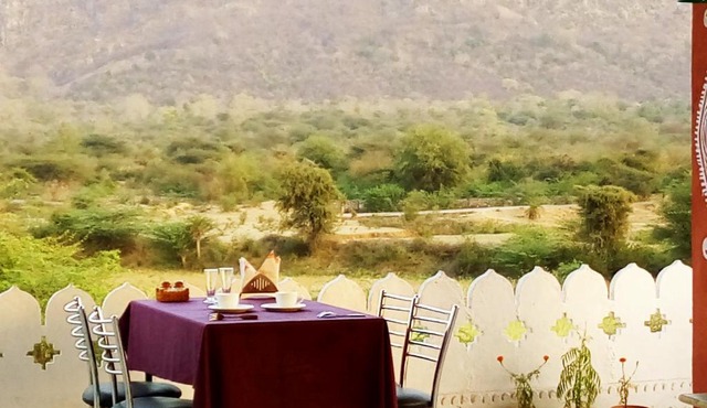 Ranthambhore Tiger Valley