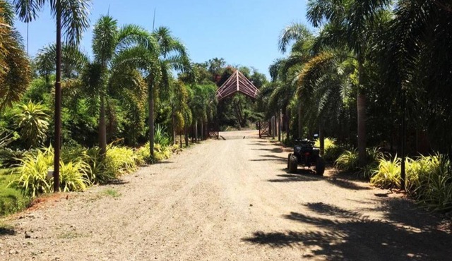 Rare secluded studio in Auroville, amidst nature!
