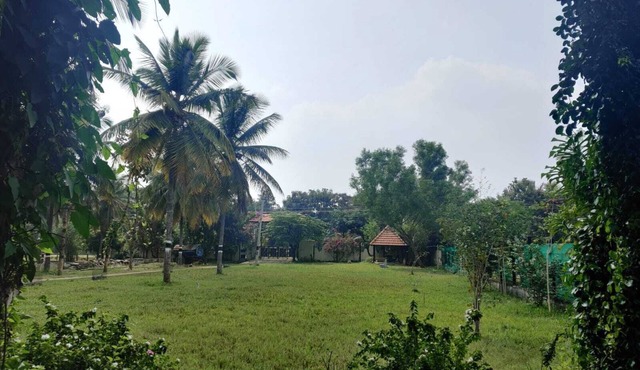 Reconnect with nature- escape to chakra farms amidst coconut groove