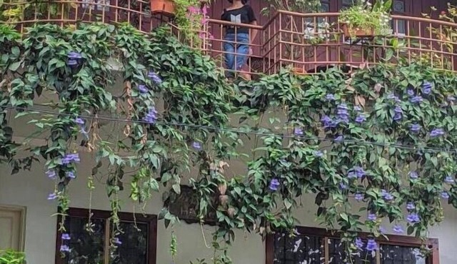 Reds Residency - Homestay