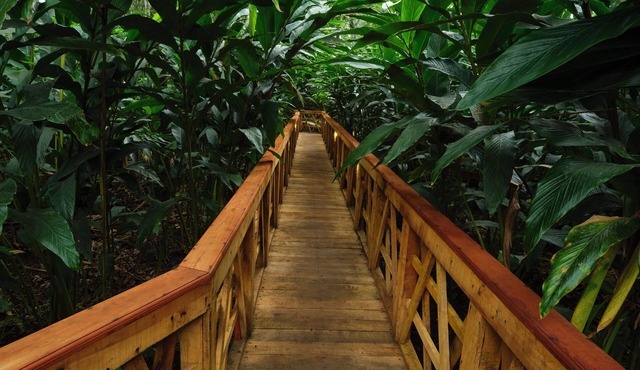 Reen Resorts Aanavilasam Thekkady