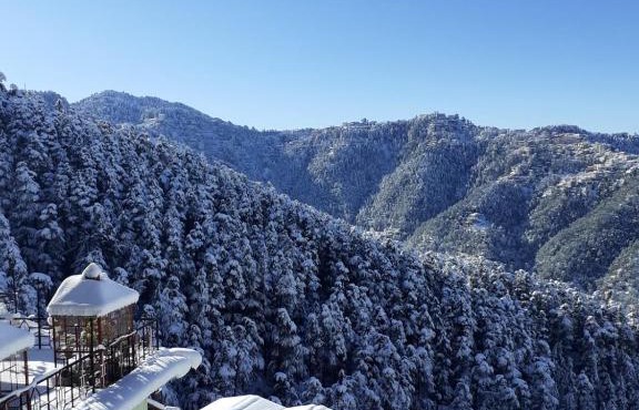 Residence Inn in Shimla