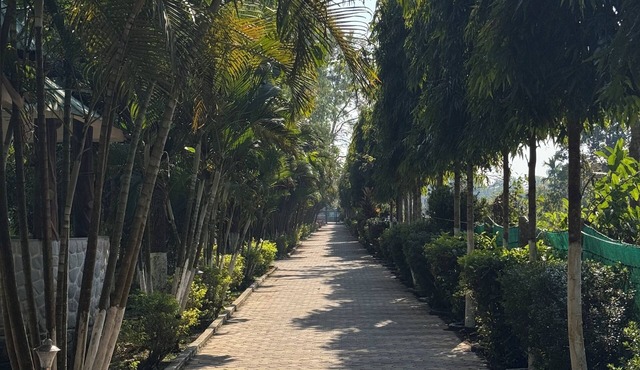 Resort Chilapata Green