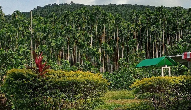 Riverstone Nature Resort