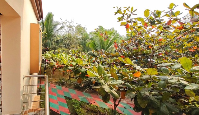 Room in Farmhouse - Janardan Kings Coco Palms Resort Konark