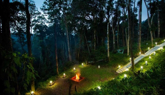 Room-the Nest Bettathur Coorg - ct No 00