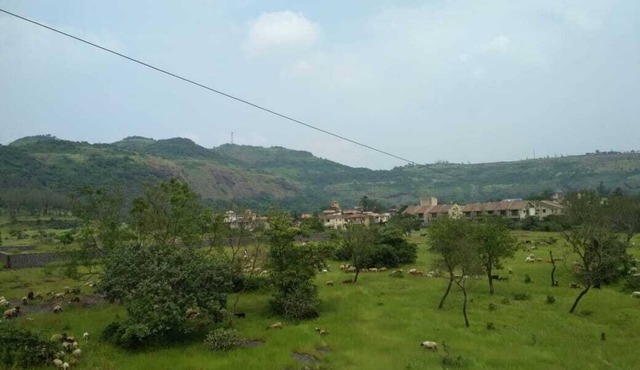 Royal Villa 3 - 3 BHK bungalow with Swimming Pool