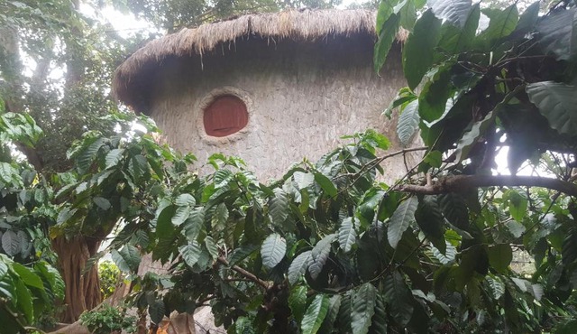 Rustic Charm Wayanad - The Roots (Treetop Suite)