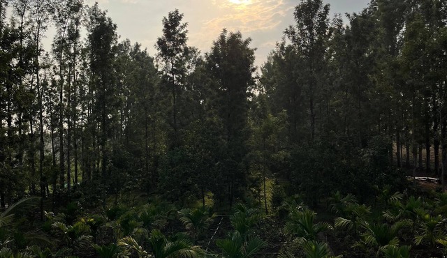 S R Retreat – Workation & Nature Escape in Malanad