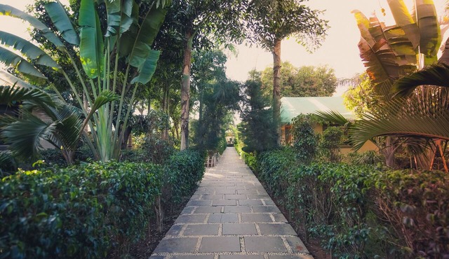 Saavaj Resort - Sasan Gir