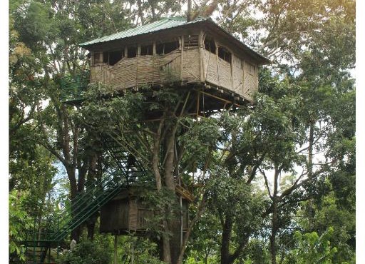 Salaams Raama Heritage Eco Village