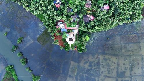 Samridhi Lake view