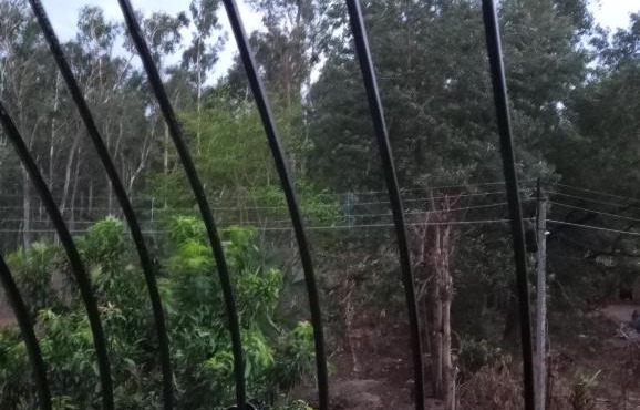 SARTHAK HOME STAY