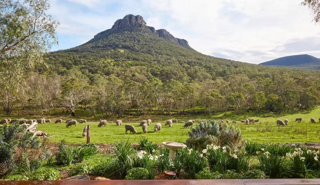 Secluded Grampians Cottage with Mountain Views & Wildlife in Dunkeld