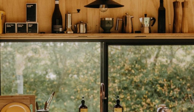 Secluded & Pet Friendly Cabin Deep in Nature - Cybele in Coleyville