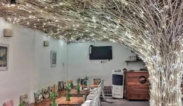 Seed Resort