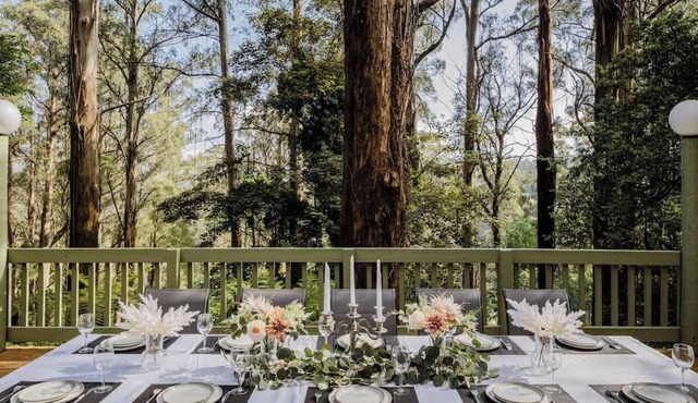 Seednest Treehouse | Forest & Mountain View in Sassafras