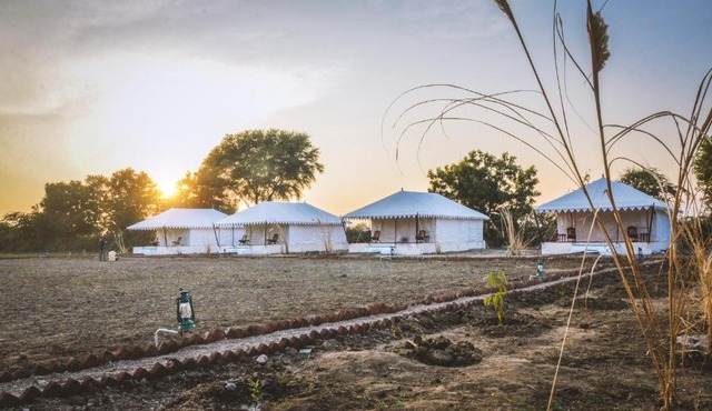 Sena Safari Camp