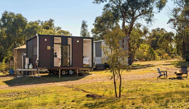 Serendipity by Tiny Away in Parkes