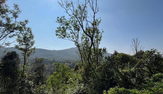 Serene 2-bedroom estate in Somvarpet with stunning views