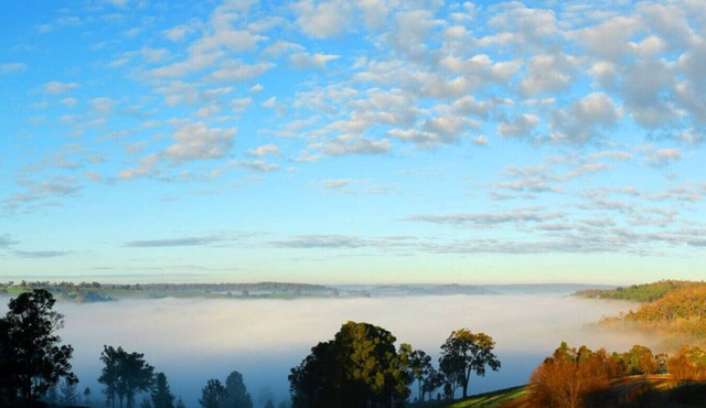 Serene Pet-Friendly Escape with Stunning Views in Bridgetown