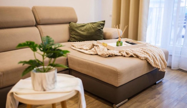 Seyra Olive Studio