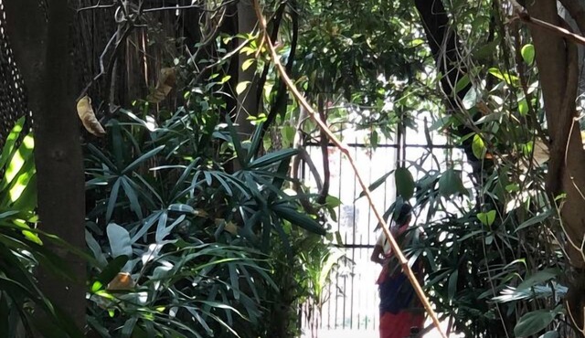 Shantidevi ashram s guesthouse