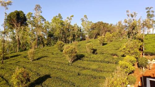 SHI's Vagamon Homestay