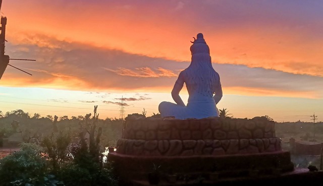 Shivaaz Farms - Goa/Dodamarg - Luxurious Cosy Farm Stay