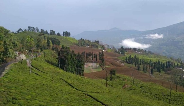 Shyam homestay, Rangli Bazar, Rangli Rangli o.t, Darjeeling, westbengal