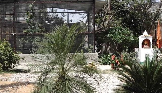 Shyam Luxurious Huts & Guest House