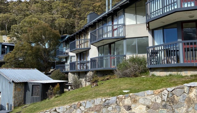 Sitzmark 1 - Central Village location in Thredbo