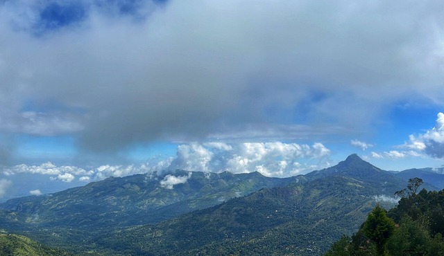 Sky House: Cliff Villa in Kodaikanal. Pet Friendly!