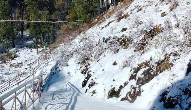 Snow Adventure Resort
