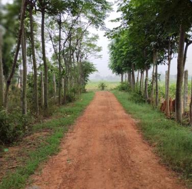 SNS Organic Farm Stay