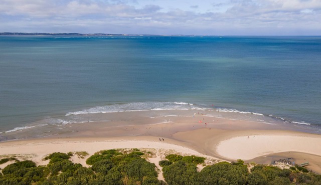 Somers Dunescape across from the beach in Somers