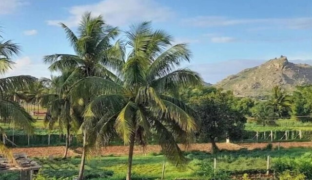 Soothing apartment with AC in picturesque Nandi Hills