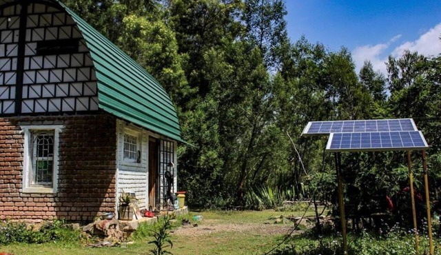 Soul Surfers Forest Homestay