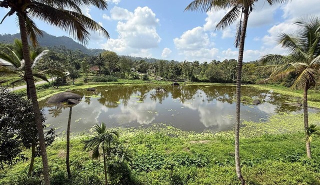 SOUPARNIKA LAKEVIEW HOMESTAY LLP