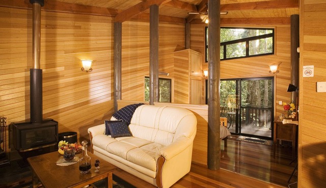 Springbrook Lyrebird Retreat in Springbrook