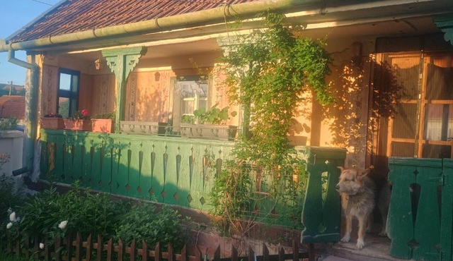 Stanciova Shura Stories farm stay