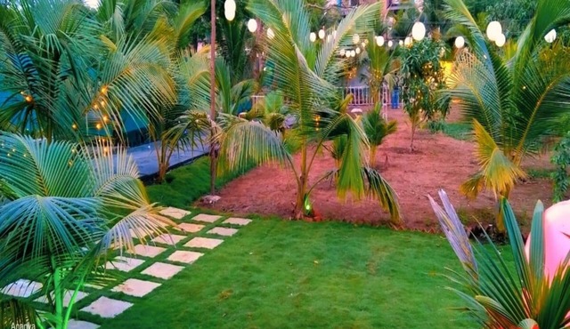 Starlight Resort