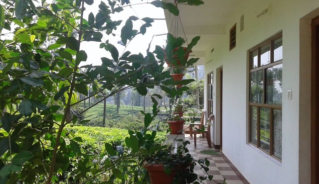 Starlit holidays homes Chithirapuram near Munnar - Room #1
