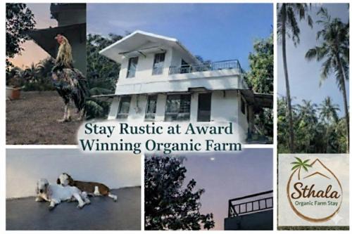 Sthala Organic Farm Stay